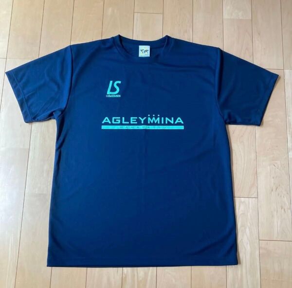 LUZeSOMBRA ルースイソンブラ AGLEYMINA Tシャツ ネイビー×エメラルドグリーン