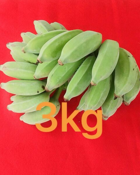 沖縄本島産アップルバナナ3kg