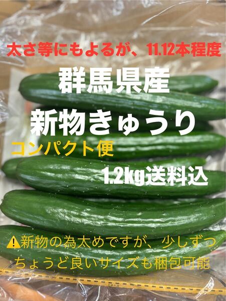 無言 評価しない方 お断り! 新物 群馬県産 朝採り ハウス栽培 きゅうり1.2キロ送料込 即購入可 日付指定不可