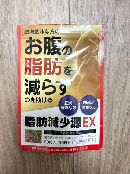 脂肪減少源EX お腹の脂肪を減らすのを助ける