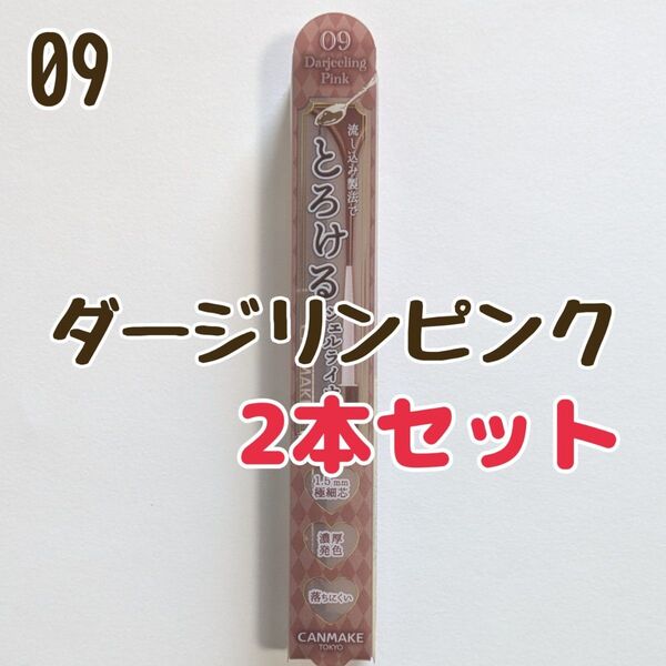 2本セット キャンメイク 09 ダージリンピンク アイライナー クリーミータッチライナー ジェルライナー とろける書き心地
