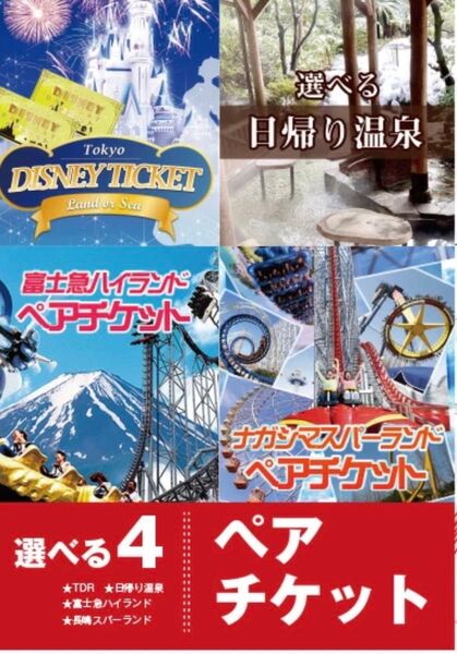 選べる4施設 ペアチケット TDR 日帰り温泉 富士急ハイランド ナガシマスパーランド