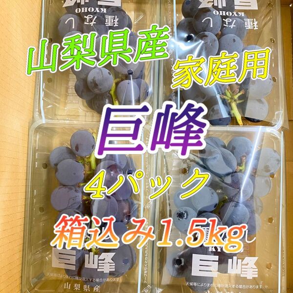 山梨県産 訳あり 家庭用 ぶどう 巨峰 4パック 箱込み1.5kg ⑨