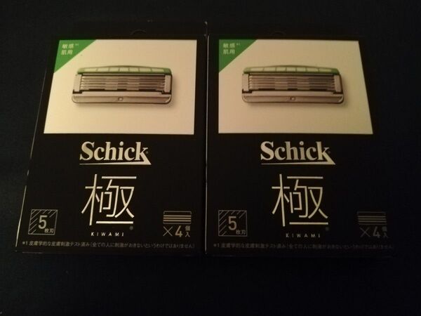 シック 極 敏感肌用 替刃