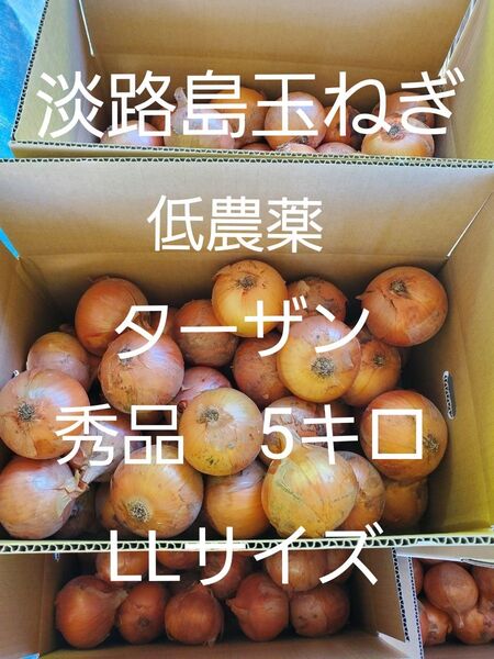 淡路島 玉ねぎ ターザン 秀品 5キロ LLサイズ 農家直送