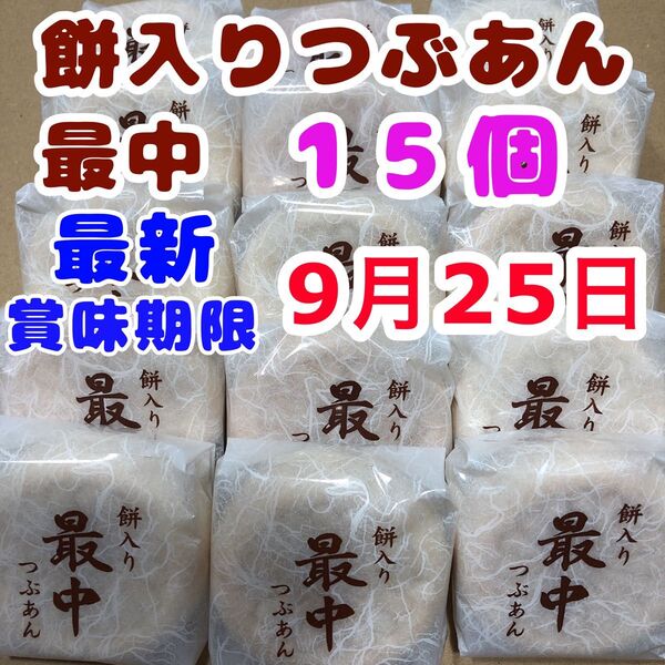 最新賞味期限9月 最中 餅入り 粒あん 餅入りつぶあん最中 薄皮もなか 和菓子詰め合わせ お茶請け つぶあん お菓子詰め合わせ