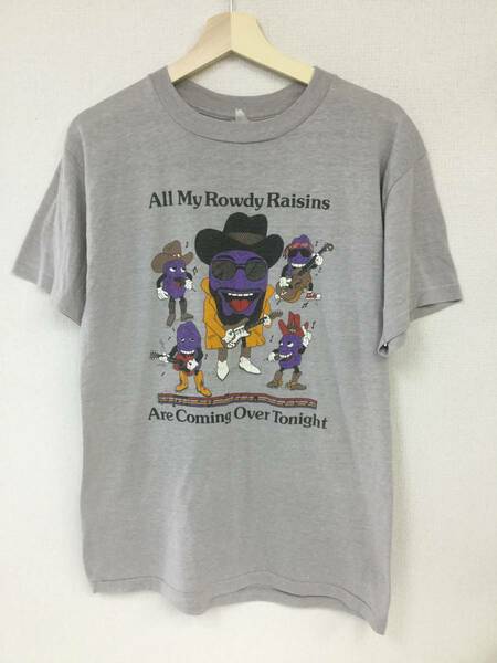 80s UNKNOWN Band Tee ヴィンテージTシャツ All My Rowdy Raisins シングルステッチ