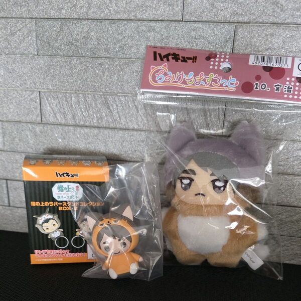 ハイキュー!! 宮治 稲荷崎高校