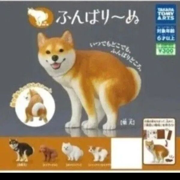 ふんばり~ぬ 全5種セット カプセルトイ ふんばりーぬ シークレットなし
