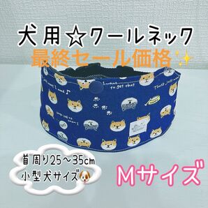 最終値下げ!【Mサイズ】バックルタイプで着脱簡単!犬用クールネック☆ネッククーラー★可愛い柴犬柄ネイビー★小型犬サイズ