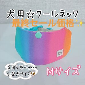 今期最終値下げ!【Mサイズ】バックルタイプで着脱簡単!犬用クールネック☆レインボー派手カラー☆小型犬サイズ