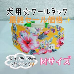 【Mサイズ】バックルタイプで着脱簡単!犬用クールネック☆ハイビスカス派手カラー☆小型犬サイズ