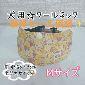 【Mサイズ】着脱簡単!犬用クールネック☆大人可愛いイエロー系花柄☆小型犬サイズ ネッククーラー