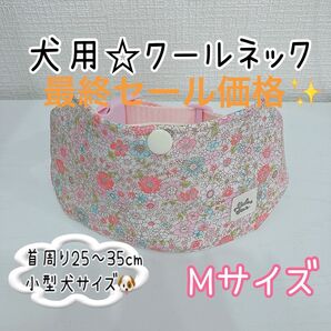 【Mサイズ】着脱簡単☆犬用クールネック*ふんわりカラー花柄☆小型犬サイズ