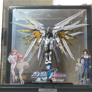 METAL ROBOT魂 メタルロボット魂 ストライクフリーダムガンダム弐式&プラウドディフェンダーセット※画像一式セット