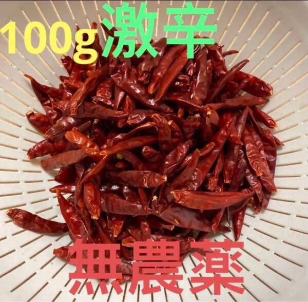 鷹の爪 赤唐辛子 100g EM農法 乾燥赤唐辛子 (激辛) 農薬栽培期間中不使用鷹の爪 トウガラシ