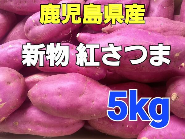 おすすめ新物さつまいも!【鹿児島県産】新物紅さつま M~2Lサイズ5kg