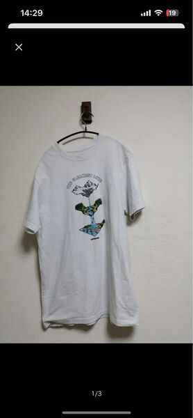 ◆Patagonia Tシャツ◆ブランドPatagonia◆カラーホワイト◆サイズメンズ size m