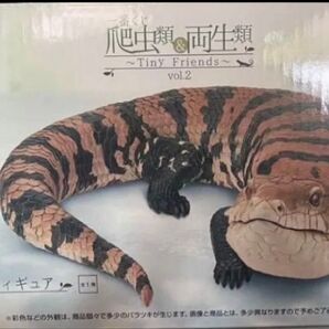 爬虫類&両生類 一番くじ