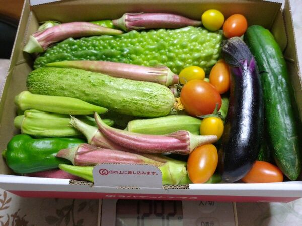 新鮮!夏野菜詰め合わせ ゆうパケットプラスいっぱい詰めます!