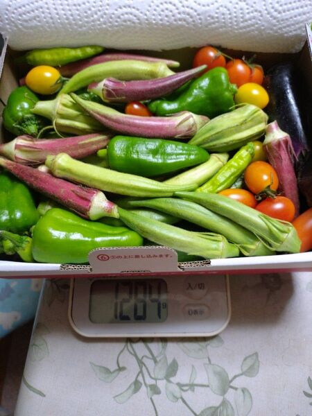 野菜詰め合わせ ゆうパケットプラスいっぱい詰めます!