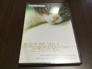 ◇未開封 パッケージ痛み◇ネコのためのDVD あなたがいないときのために 国内正規品 あなたの猫のためのリラックスする映像と音楽 即決