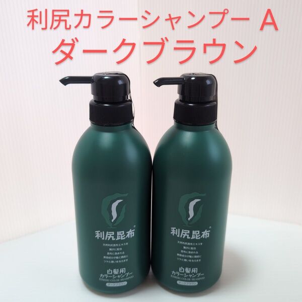 利尻カラーシャンプーA ダークブラウン500ml×2本セット