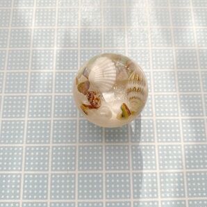 帯留め パール 海 マリン 貝殻 シェル クリア ホワイト 浴衣 着物 ファッション