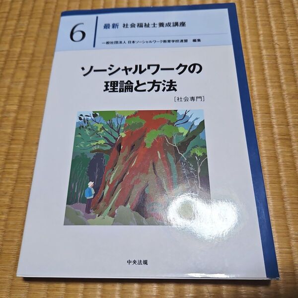 ソーシャルワークの理論と方法 社会専門 社会福祉士養成講座