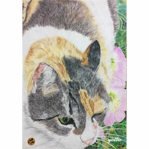 Art hand Auction Colored pencil drawing Come here A4 with frame◇◆Hand-drawn◇Original drawing◆Cat◇◆Yotto◇, artwork, painting, pencil drawing, charcoal drawing