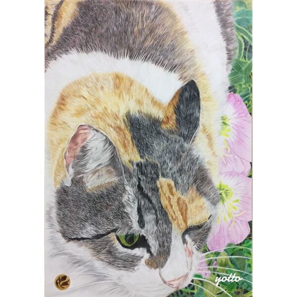 色鉛筆画「 こっちにおいでよ 」A4・額付き◇◆手描き◇原画◆猫◇◆yotto◇50%OFF