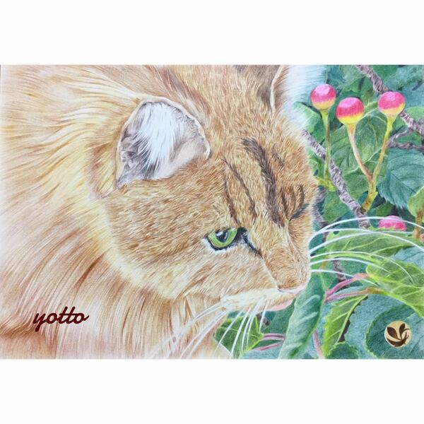 色鉛筆画「 あまのじゃく 」Ａ４・額付き◇◆手描き◇原画◆猫◆yotto◇