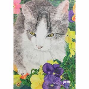  color pencil .[ when . also ]A4* amount attaching ** hand ..* original picture * cat *yotto*