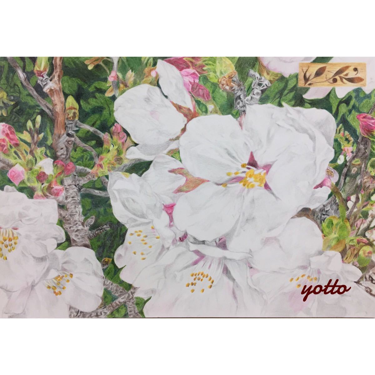 색연필화 언젠가, 또… A4 프레임 포함◇◆손으로 그린◇원화◆사쿠라◆Yotto◇, 삽화, 그림, 연필 그림, 목탄화