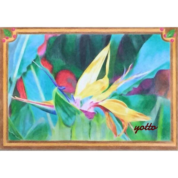 色鉛筆画「 ストレチア~輝かしい未来~ 」A4・額付き◇◆手描き◇原画◆yotto◇50%OFF
