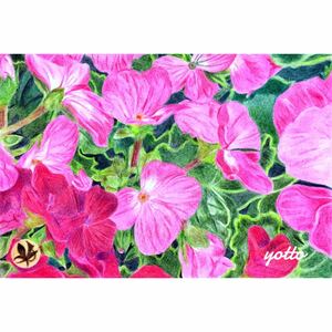 Art hand Auction Colored pencil drawing Color 2 Postcard size, framed ◇◆Hand-drawn◇Original◆Flower and landscape painting◆yotto, Artwork, Painting, Pencil drawing, Charcoal drawing