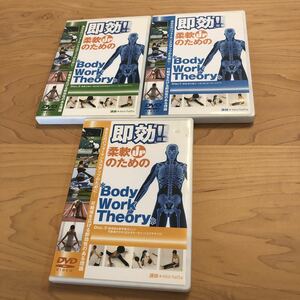  immediate effect flexible up therefore. body work theory DVD set 