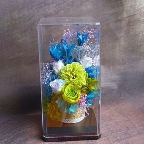 プリザーブドフラワーアレンジメント アクリルケース入り インテリア ギフト グリーンブルー No.11