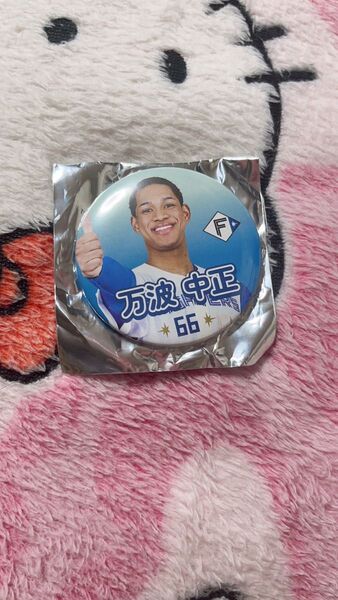 北海道日本ハムファイターズ 缶バッジ