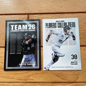 千葉ロッテマリーンズ ビジター応援デー トレカ +1枚