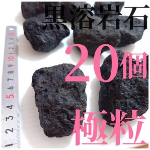【希少】黒溶岩石 20個 【極粒】☆アクアリウム、テラリウム、コケリウムに最適