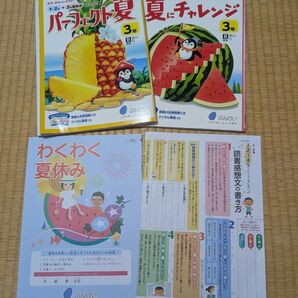 ぶんけい パーフェクト夏、夏にチャレンジ 付録 わくわく夏休み3年〜6年用 感想文の書き方