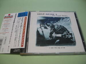 DAVID MALONE & THE SUGAR BEARS■I GOT THE DOG IN ME■FAT POSSUM,R.L.BURNSIDE,JON SPENCER BLUES EXPLOSION