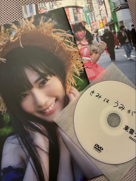 東雲うみ 写真集 きみはうみがすき web限定版 特典ブック メイキングDVD付き グラドル グラビア アイドル PPE プラモ