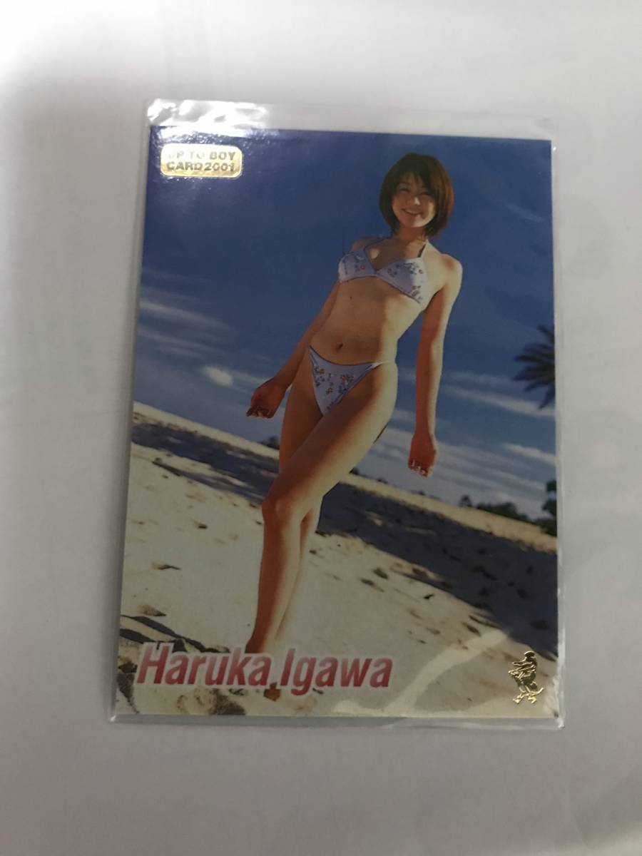 ヤフオク! -「井川遥」(トレーディングカード) の落札相場・落札価格