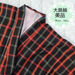 大島紬 紬 正絹 伝統工芸品 着物 袷 良品 美品 お稽古 リメイク