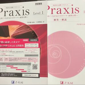 非市販Z会英語長文プラクシスPraxis Level 1