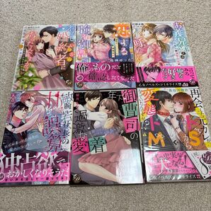 即購入NG 「わたし、いつから婚約者になったんですか?」「恋する強引御曹司」「お義兄さまとは呼べません!」「敏腕若社長の甘い誤算