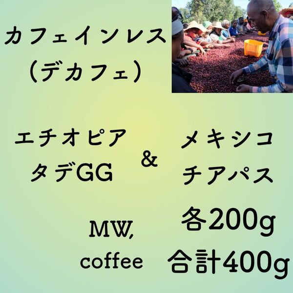 カフェインレス(デカフェ)エチオピア&メキシコ各200g合計400g自家焙煎コーヒー豆 有機栽培