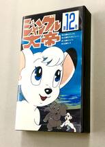 即決！珍品！VHS「ジャングル大帝：手塚治虫　永島慎二　北野英明　冨田勲　太田淑子」12巻_画像1